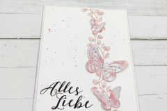 IMG_20230908_214504_0696