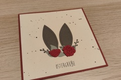 IMG20230318212057