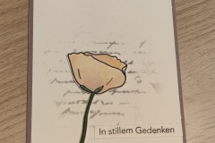 IMG20230410001906