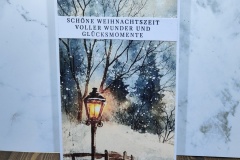 IMG20241208163506