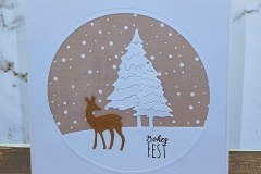 IMG_20231128_084350_0400
