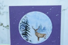 IMG_20231208_011224_0161