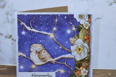 IMG_20231221_223718_0782